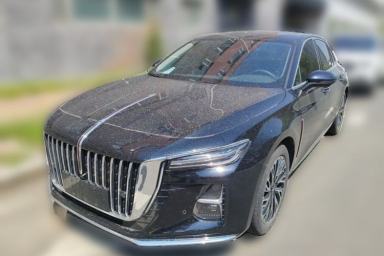 Used Hongqi H5 2024 2.0T Automatic Smart Connect Flagship Edition