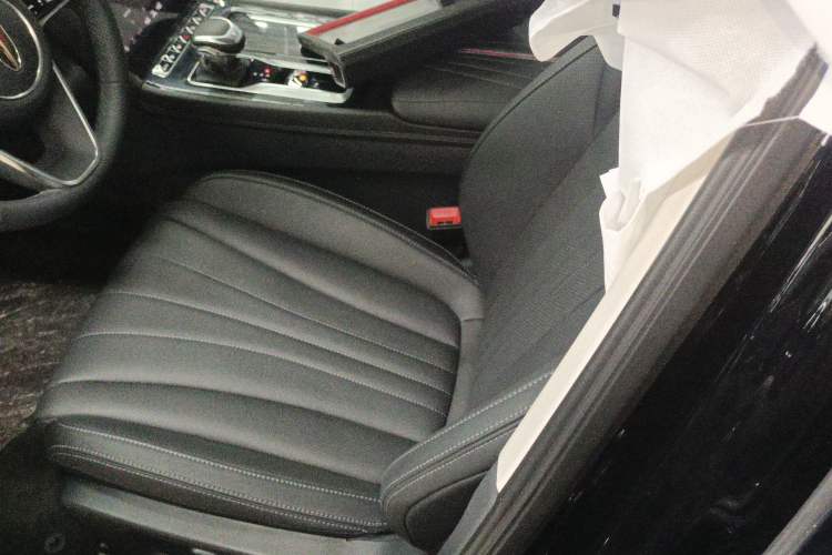 Used Hongqi H5 2024 1.5T DCT Smart Connect Flagship Edition Left Front Seat
