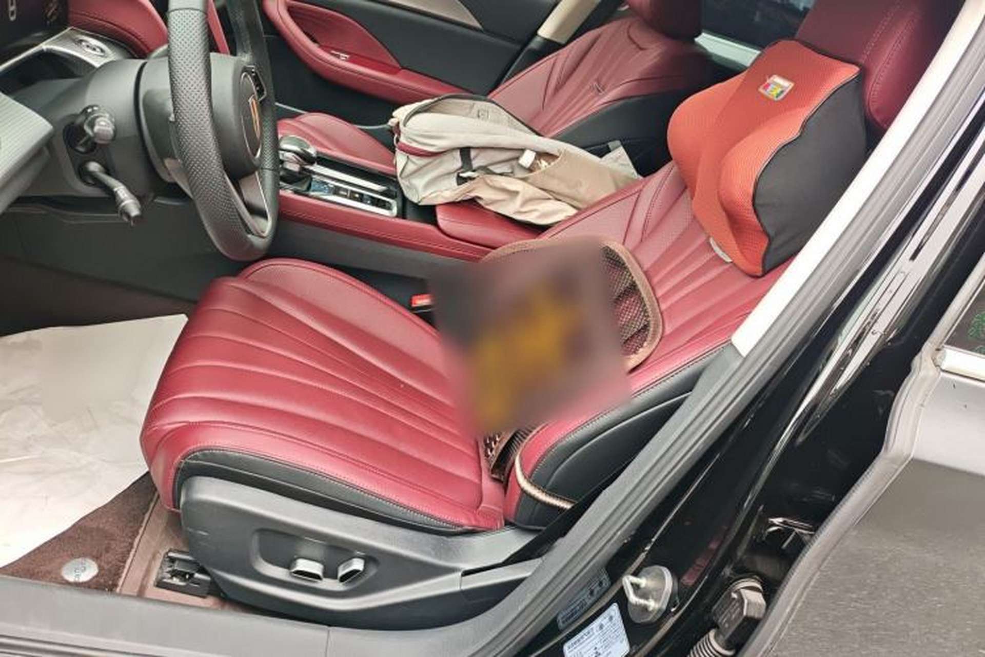 Used Hongqi H5 2024 1.5T DCT Smart Connect Flagship Edition Left Front Seat