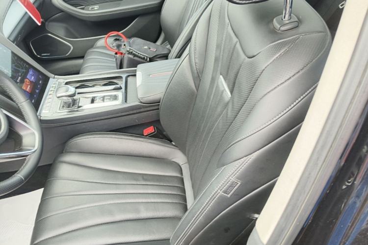 Used Hongqi H5 2024 1.5T DCT Smart Connect Flagship Edition Left Front Seat