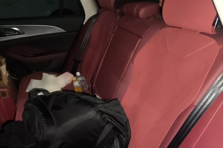 Used Hongqi H5 2024 1.5T DCT Smart Connect Flagship Edition Left Rear Seat