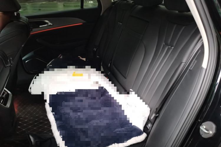 Used Hongqi H5 2024 2.0T Automatic Smart Connect Flagship Edition Left Rear Seat