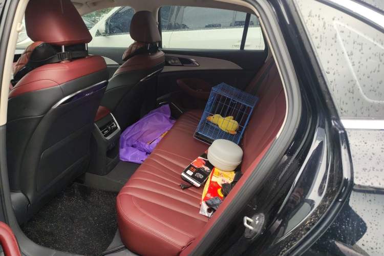 Used Hongqi H5 2024 1.5T DCT Smart Connect Flagship Edition Left Rear Seat