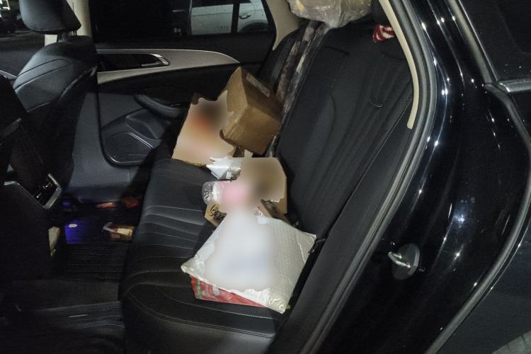 Used Hongqi H5 2024 1.5T DCT Smart Connect Flagship Edition Left Rear Seat