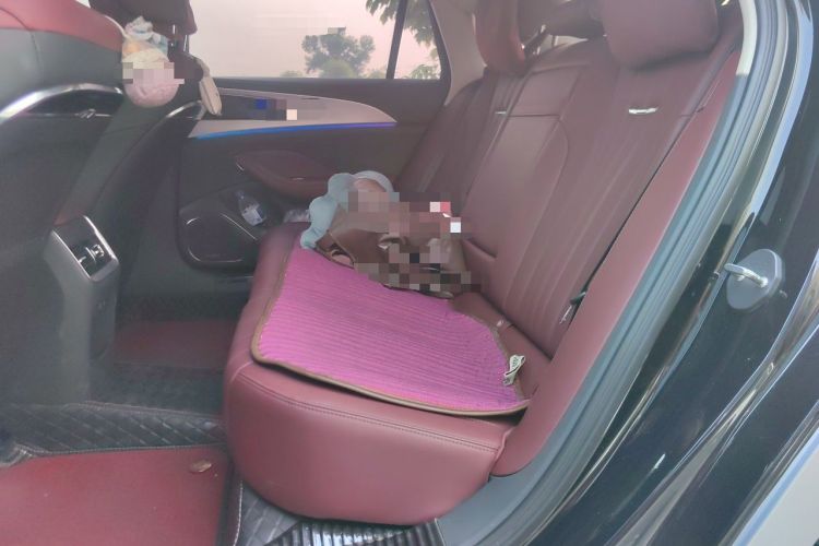 Used Hongqi H5 2024 2.0T Automatic Smart Connect Flagship Edition Left Rear Seat