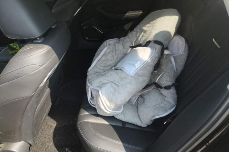 Used Hongqi H5 2024 1.5T DCT Smart Connect Flagship Edition Left Rear Seat