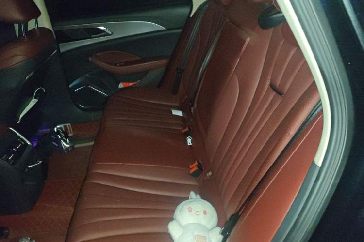 Used Hongqi H5 2024 1.5T DCT Smart Connect Flagship Edition Left Rear Seat
