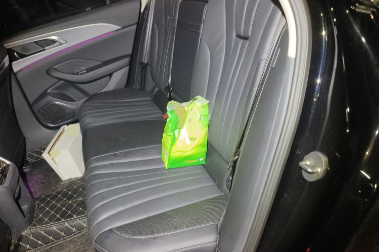 Used Hongqi H5 2024 2.0T Automatic Smart Connect Flagship Edition Left Rear Seat