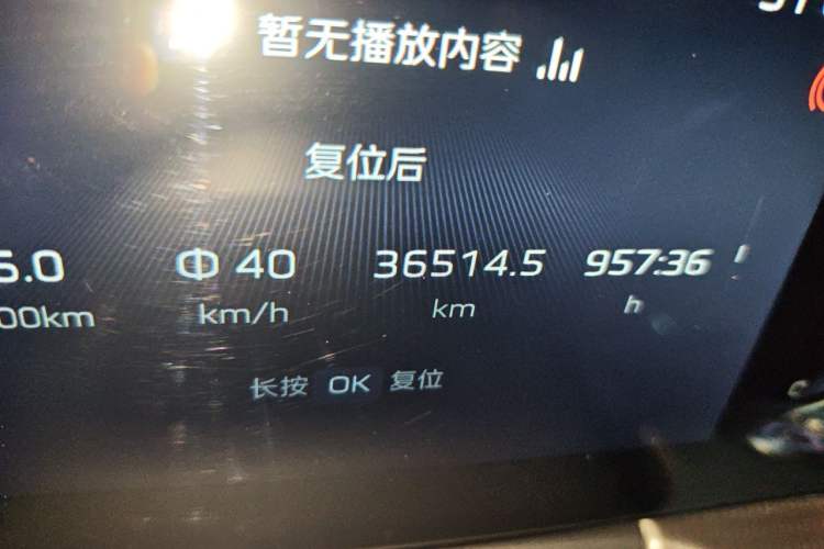 Used Hongqi H5 2024 1.5T DCT Smart Connect Flagship Edition Odometer Close Up