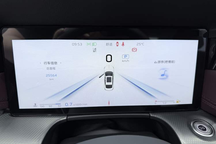 Used Hongqi H5 2024 2.0T Automatic Smart Connect Flagship Edition Odometer Close Up