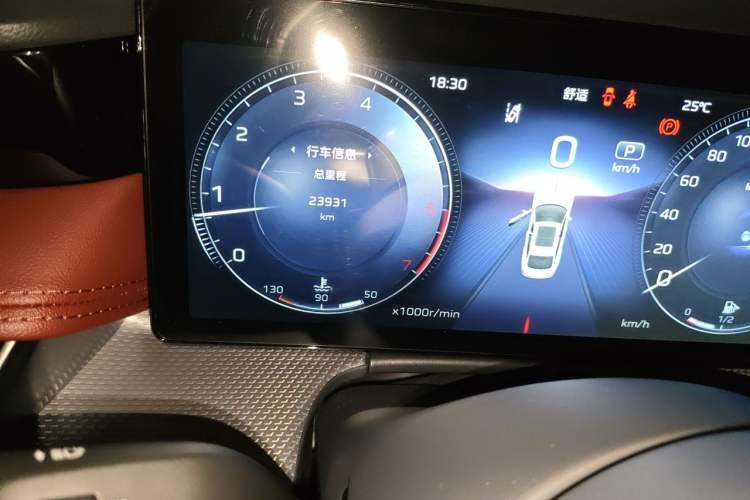 Used Hongqi H5 2024 2.0T Automatic Smart Connect Flagship Edition Odometer Close Up