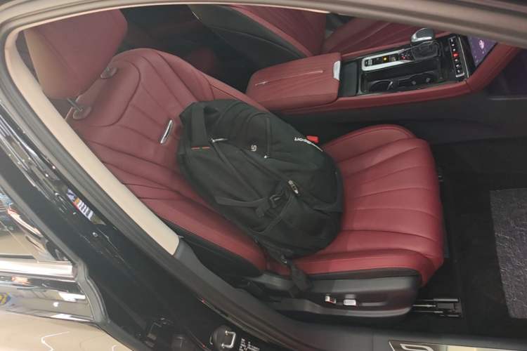 Used Hongqi H5 2024 2.0T Automatic Smart Connect Flagship Edition Right Front Seat