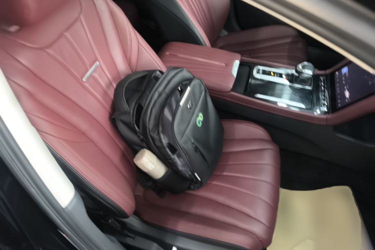 Used Hongqi H5 2024 2.0T Automatic Smart Connect Flagship Edition Right Front Seat