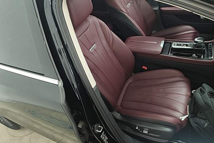Used Hongqi H5 2024 2.0T Automatic Smart Connect Flagship Edition Right Front Seat