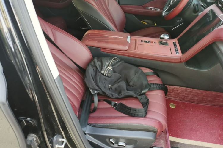 Used Hongqi H5 2024 1.5T DCT Smart Connect Flagship Edition Right Front Seat