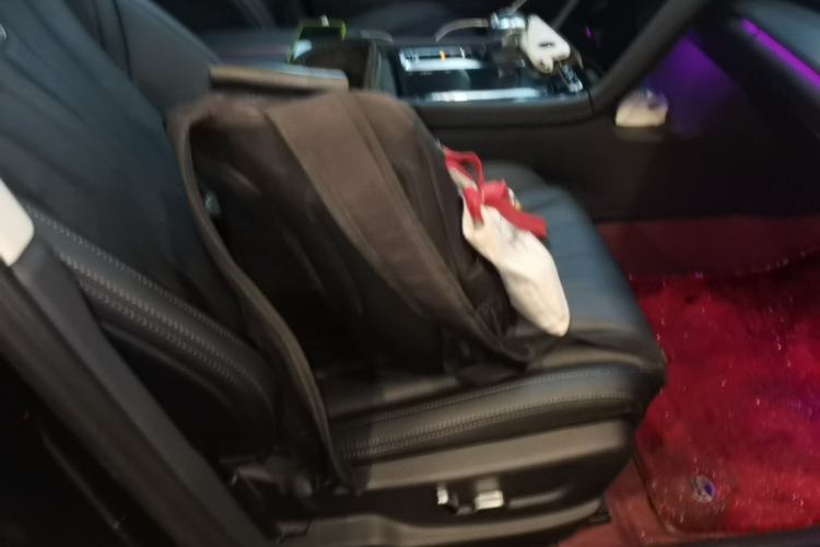Used Hongqi H5 2024 2.0T Automatic Smart Connect Flagship Edition Right Front Seat