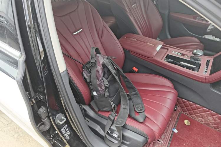 Used Hongqi H5 2024 2.0T Automatic Smart Connect Flagship Edition Right Front Seat