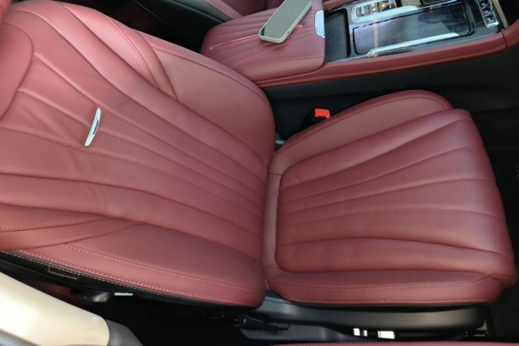 Used Hongqi H5 2024 2.0T Automatic Smart Connect Flagship Edition Right Front Seat