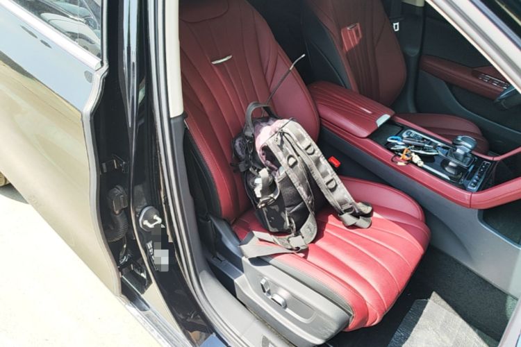Used Hongqi H5 2024 2.0T Automatic Smart Connect Flagship Edition Right Front Seat