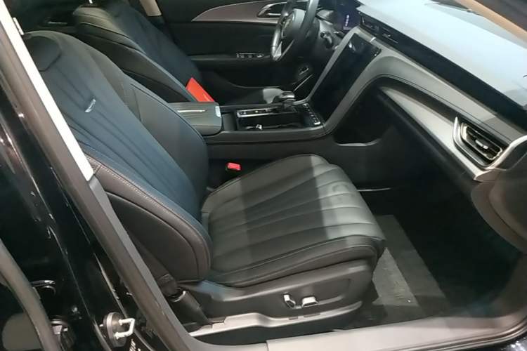 Used Hongqi H5 2024 2.0T Automatic Smart Connect Flagship Edition Right Front Seat