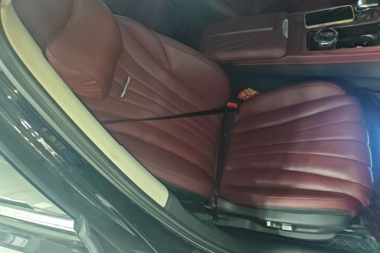 Used Hongqi H5 2024 2.0T Automatic Smart Connect Flagship Edition Right Front Seat