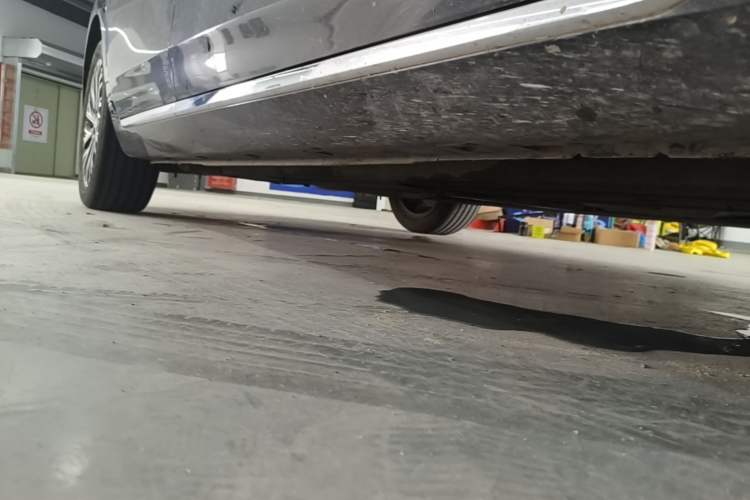 Used Hongqi H5 2024 2.0T Automatic Smart Connect Flagship Edition Right Side Sill