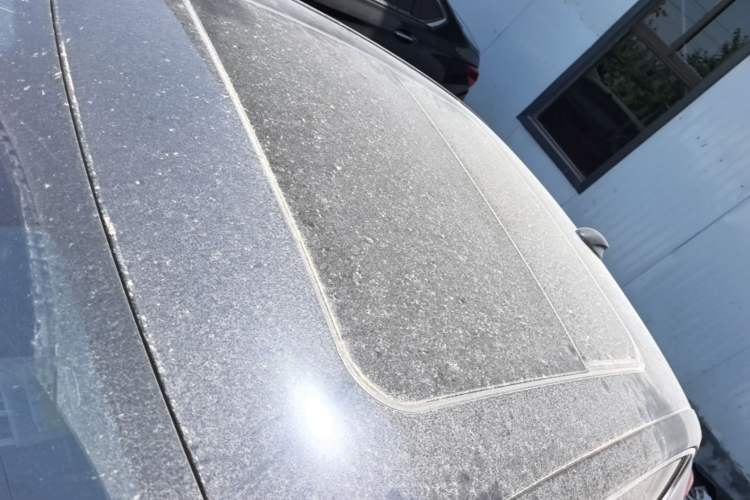 Used Hongqi H5 2024 1.5T DCT Smart Connect Flagship Edition Roof