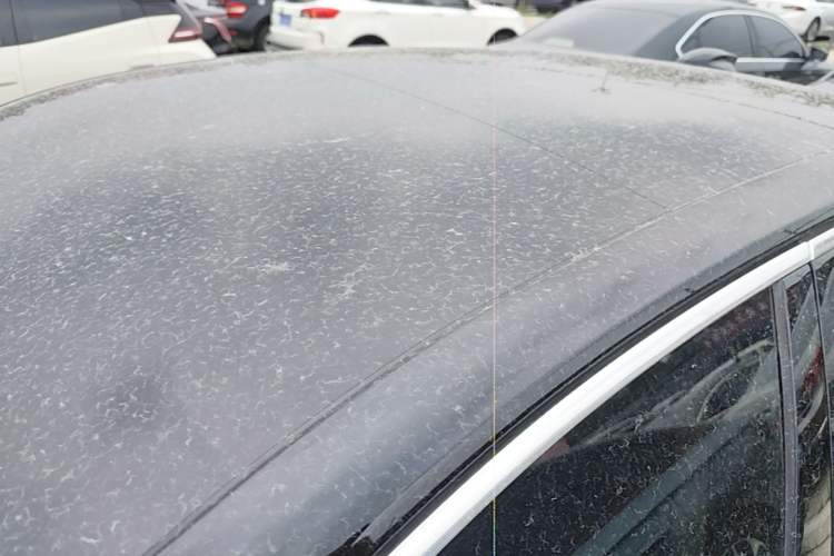 Used Hongqi H5 2024 1.5T DCT Smart Connect Flagship Edition Roof