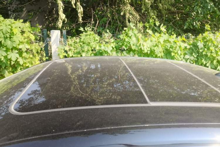 Used Hongqi H5 2024 1.5T DCT Smart Connect Flagship Edition Roof