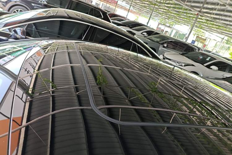 Used Hongqi H5 2024 2.0T Automatic Smart Connect Flagship Edition Roof