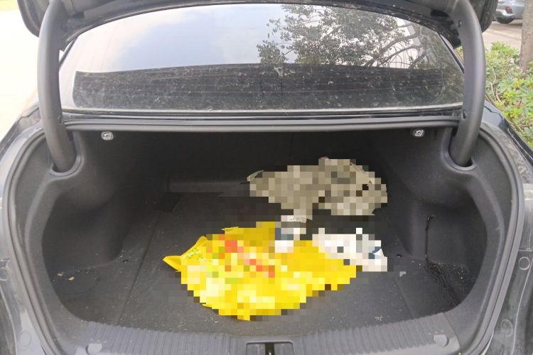 Used Hongqi H5 2024 2.0T Automatic Smart Connect Flagship Edition Trunk