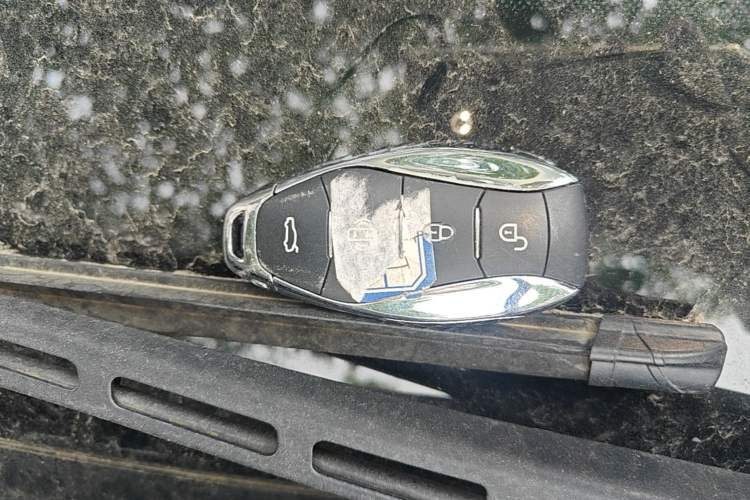 Used Hongqi H5 2024 1.5T DCT Smart Connect Flagship Edition Vehicle Key