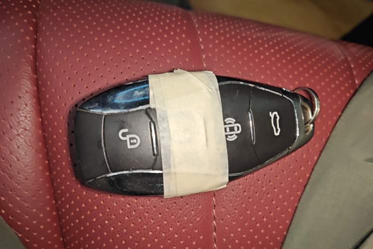 Used Hongqi H5 2024 2.0T Automatic Smart Connect Flagship Edition Vehicle Key