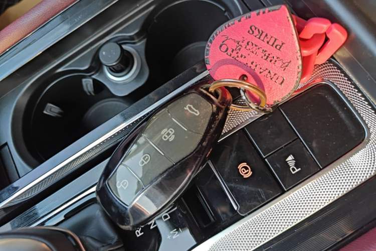 Used Hongqi H5 2024 1.5T DCT Smart Connect Flagship Edition Vehicle Key
