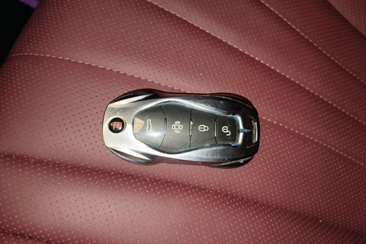 Used Hongqi H5 2024 1.5T DCT Smart Connect Flagship Edition Vehicle Key