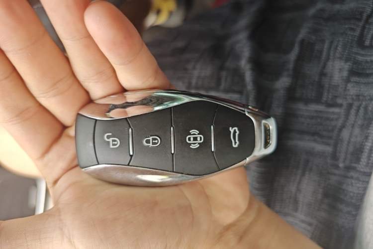 Used Hongqi H5 2024 2.0T Automatic Smart Connect Flagship Edition Vehicle Key