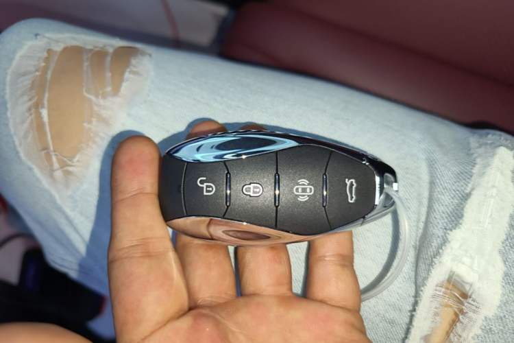 Used Hongqi H5 2024 2.0T Automatic Smart Connect Flagship Edition Vehicle Key