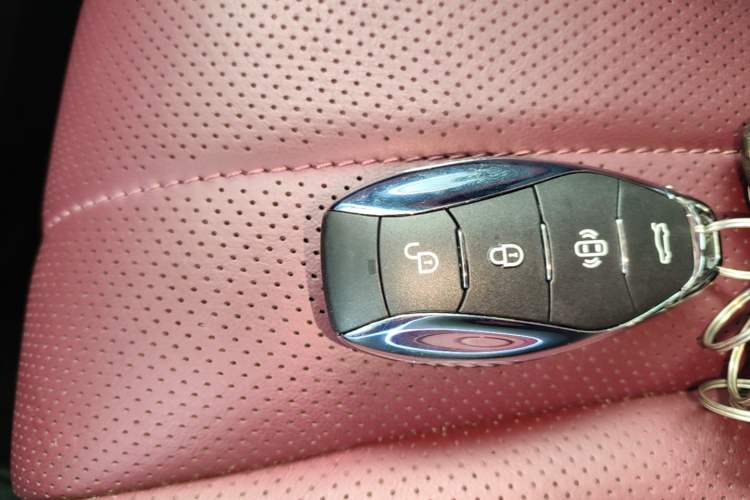 Used Hongqi H5 2024 2.0T Automatic Smart Connect Flagship Edition Vehicle Key