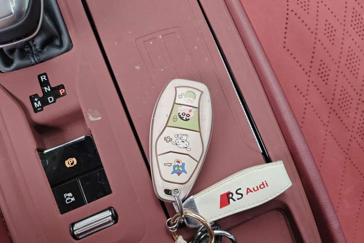 Used Hongqi H5 2024 2.0T Automatic Smart Connect Flagship Edition Vehicle Key