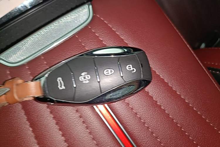 Used Hongqi H5 2024 2.0T Automatic Smart Connect Flagship Edition Vehicle Key