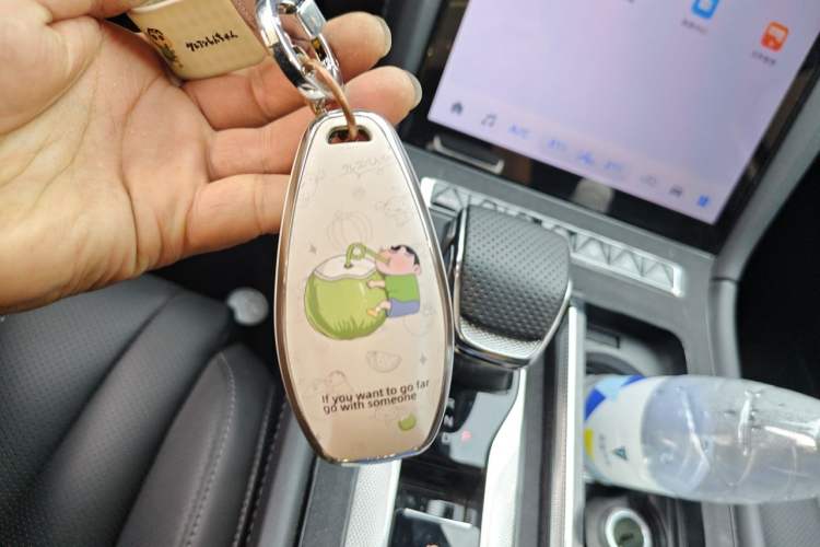Used Hongqi H5 2024 2.0T Automatic Smart Connect Flagship Edition Vehicle Key