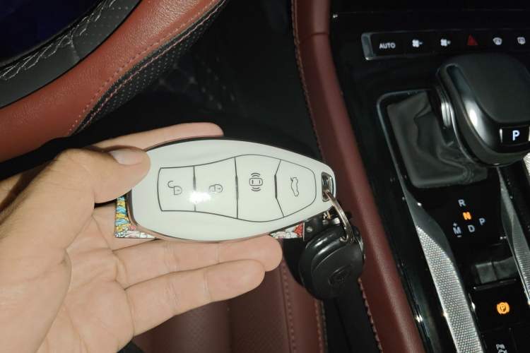 Used Hongqi H5 2024 2.0T Automatic Smart Connect Flagship Edition Vehicle Key