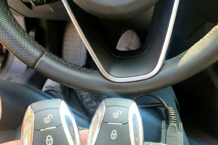 Used Hongqi H5 2024 1.5T DCT Smart Connect Flagship Edition Vehicle Key