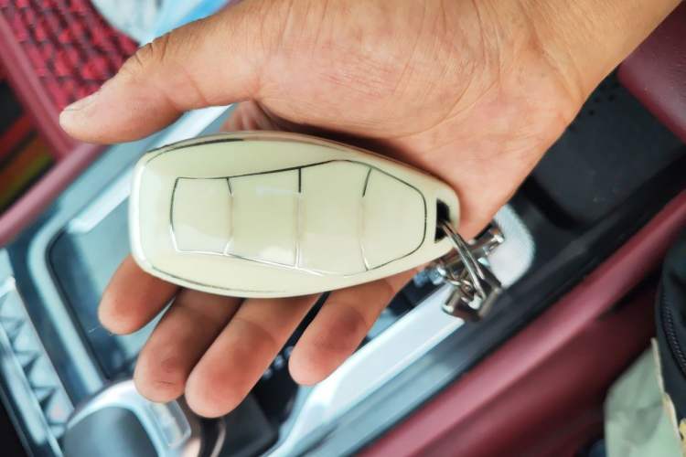 Used Hongqi H5 2024 2.0T Automatic Smart Connect Flagship Edition Vehicle Key