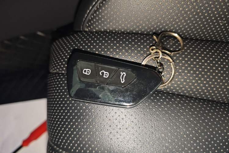 Used Hongqi H5 2024 2.0T Automatic Smart Connect Flagship Edition Vehicle Key