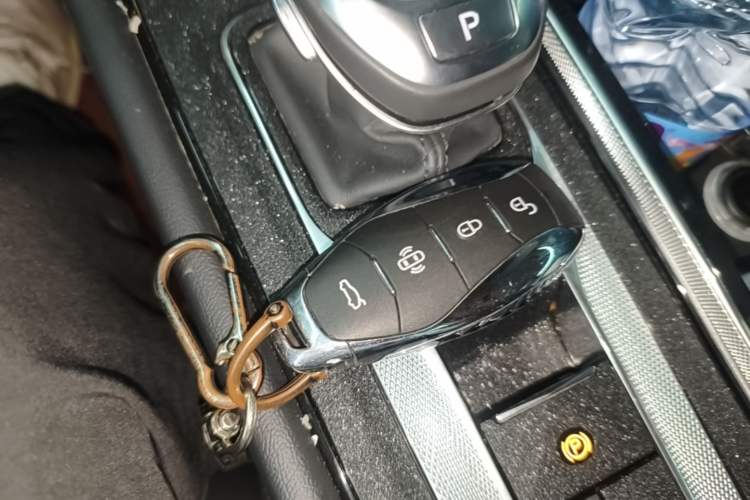 Used Hongqi H5 2024 2.0T Automatic Smart Connect Flagship Edition Vehicle Key
