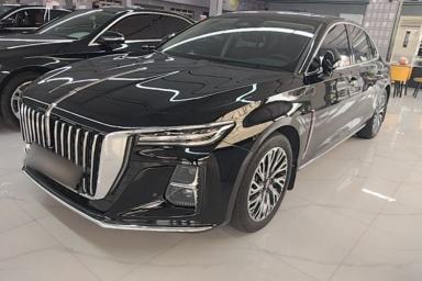 Used Hongqi H5 2024 2.0T Automatic Smart Connect Flagship Edition