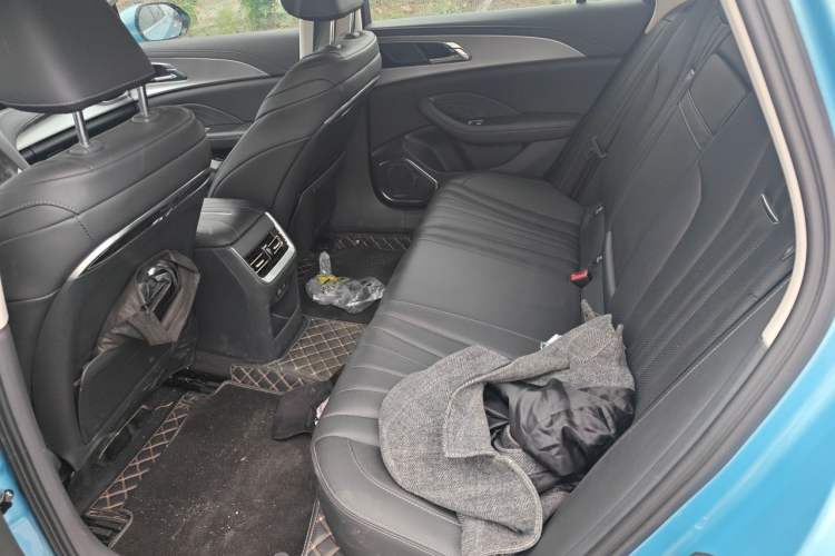 Used Hongqi H5 2024 1.5T DCT Smart Connect Flagship Edition Left Rear Seat