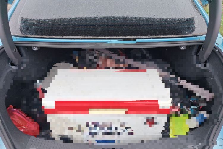 Used Hongqi H5 2024 1.5T DCT Smart Connect Flagship Edition Trunk