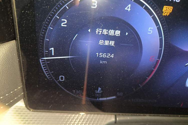 Used Hongqi H5 2024 2.0T Automatic Smart Connect Flagship Edition Odometer Close Up